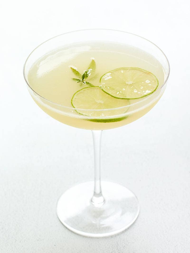 Lemon Verbena Daiquiri Recipe