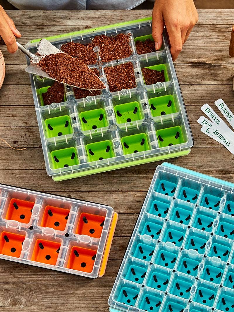 How to Use Your Burpee SuperSeed Tray