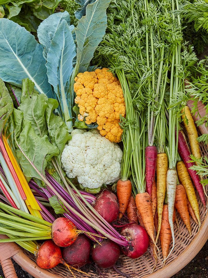 What Is Organic Gardening?