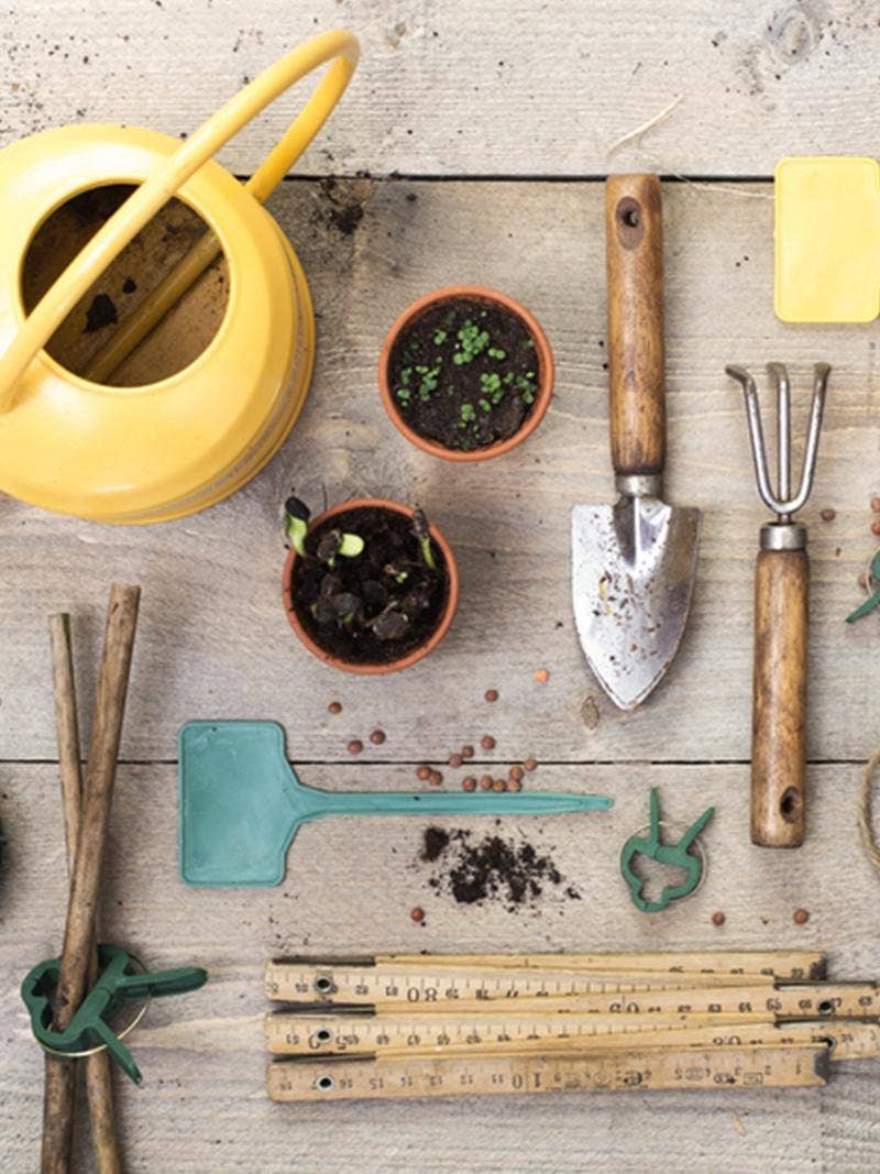 Gardening tools and accessories.