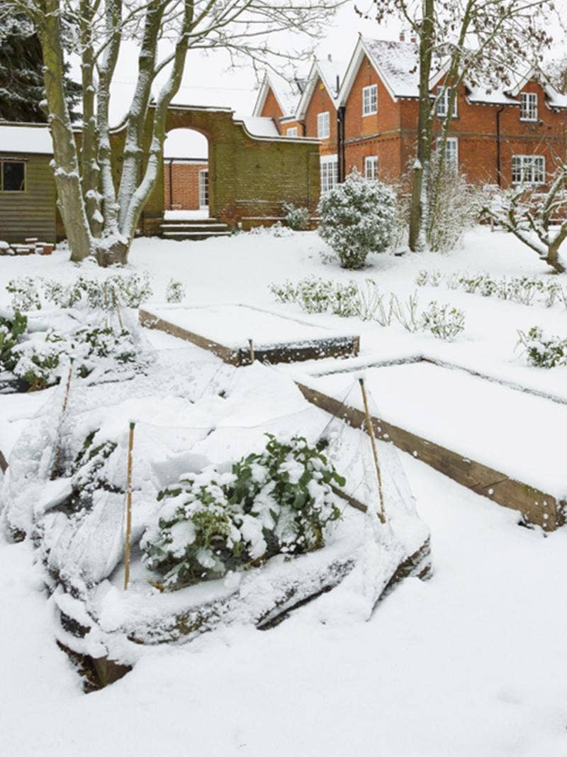 A raised bed garden in winter.
