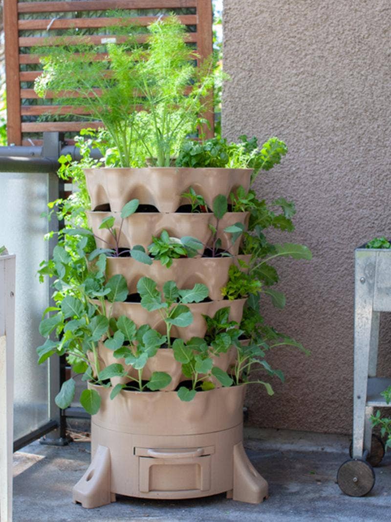 A vertical garden on a patio.