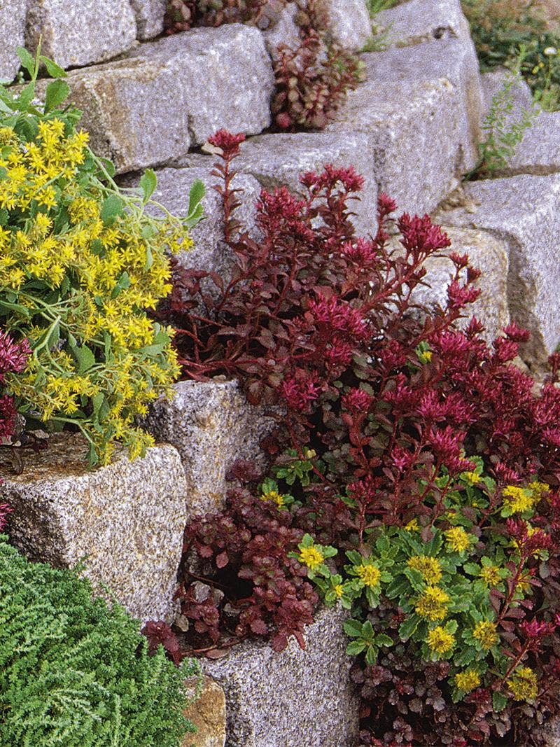 Ideas for Landscaping With Stones and Plants