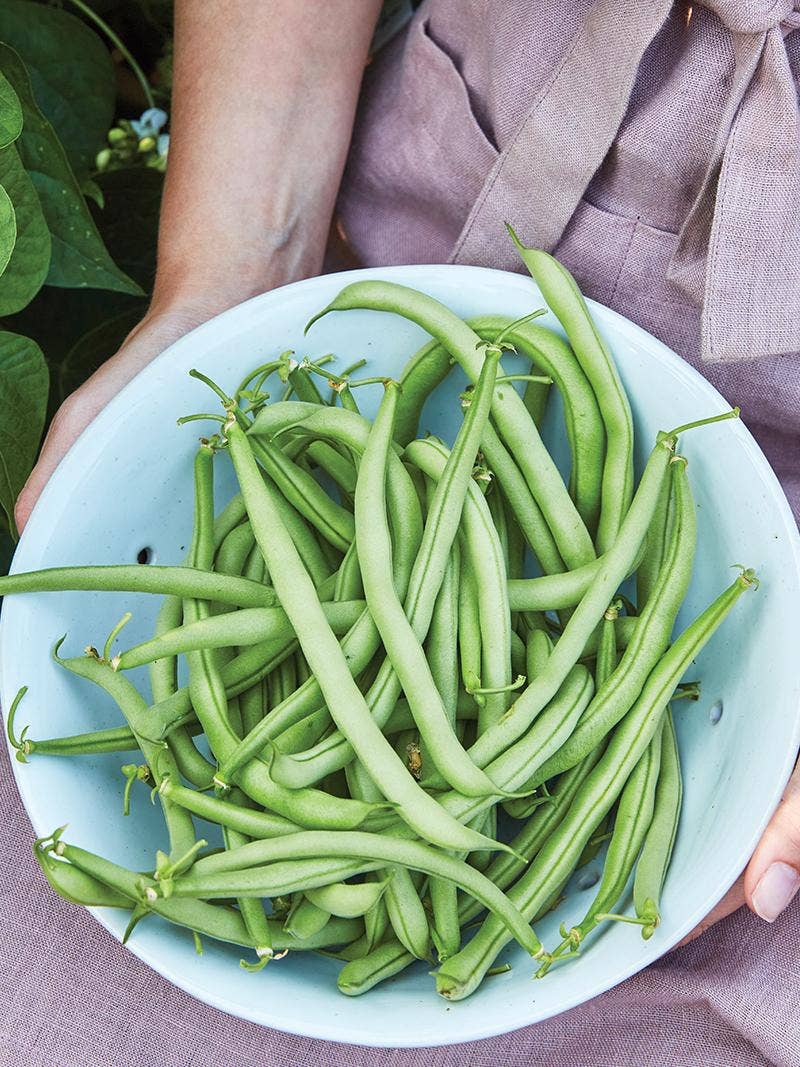 Plan Ahead for Homegrown Veggies