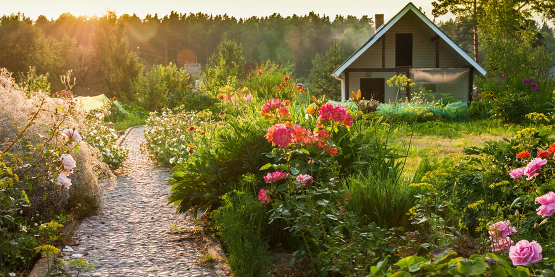 2022 Landscaping Trends to Incorporate Into Your Garden Planning