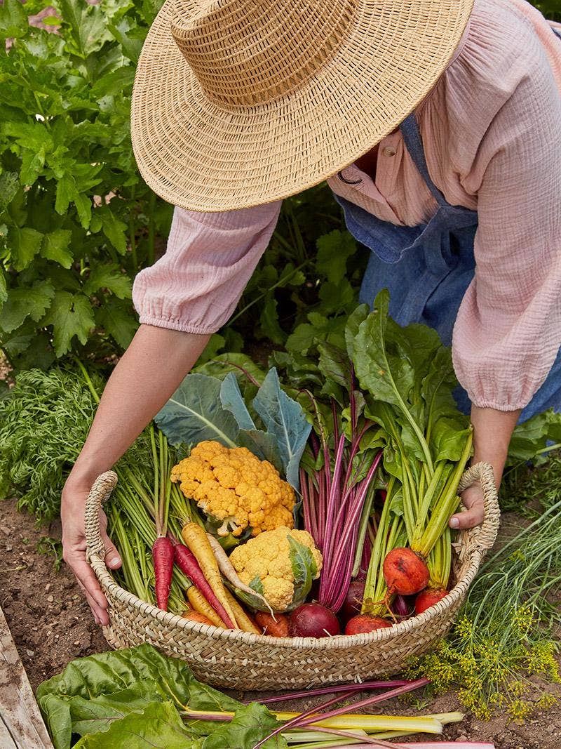 A woman holding fall harvest.