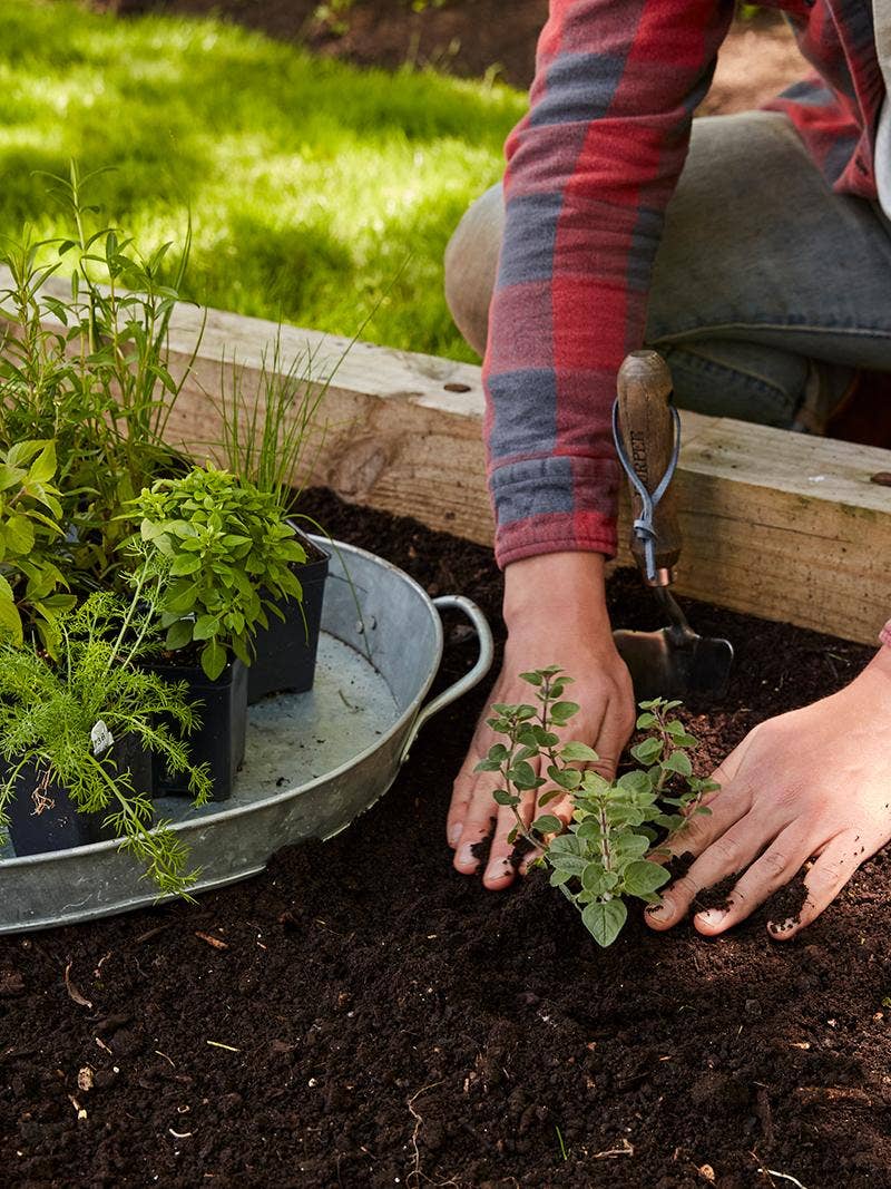 Tips for New Gardeners