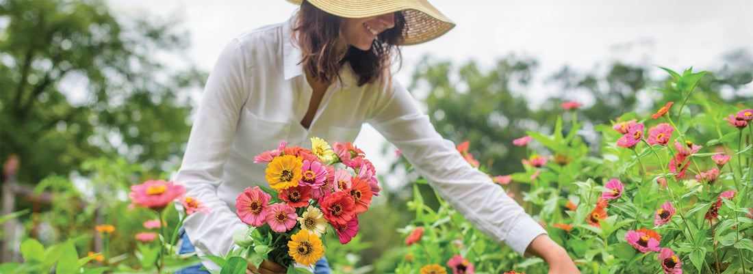 5 Cut Flowers Experts Can’t Live Without
