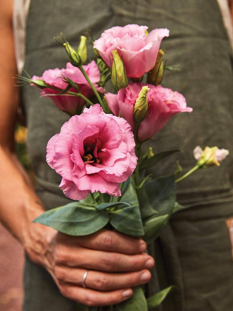 Cut Flower Basics