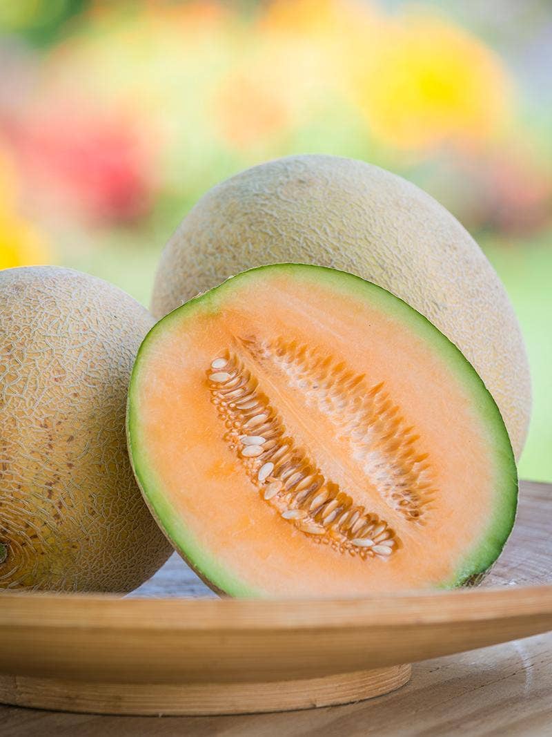 All About Cantaloupe