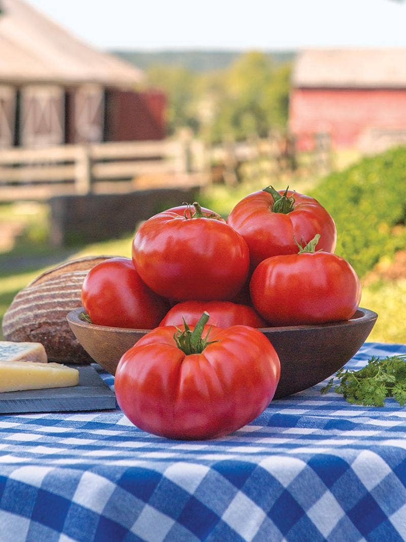 Burpee’s 'Madame Marmande' Tomato