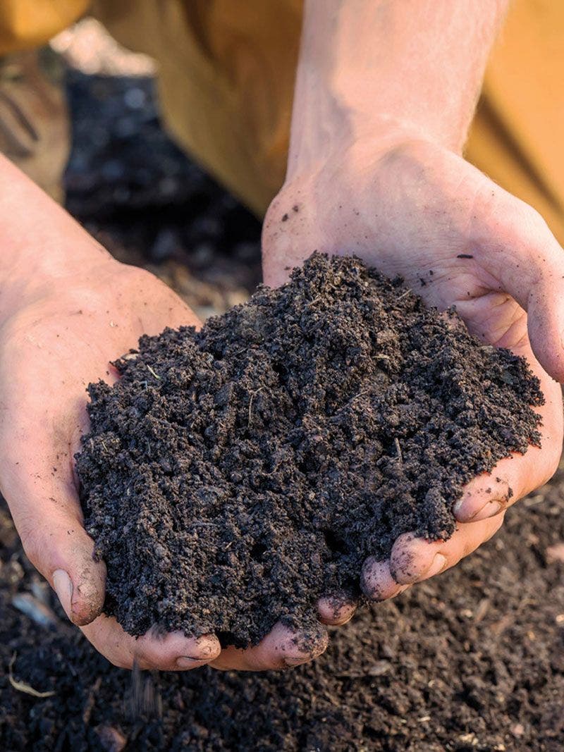 Organic Solutions for Improving Your Soil