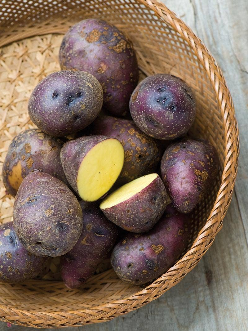 All About Potatoes