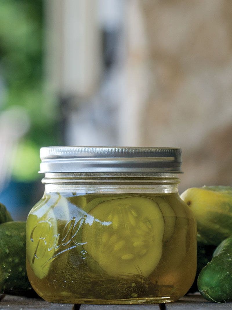 easiest pickles in jar