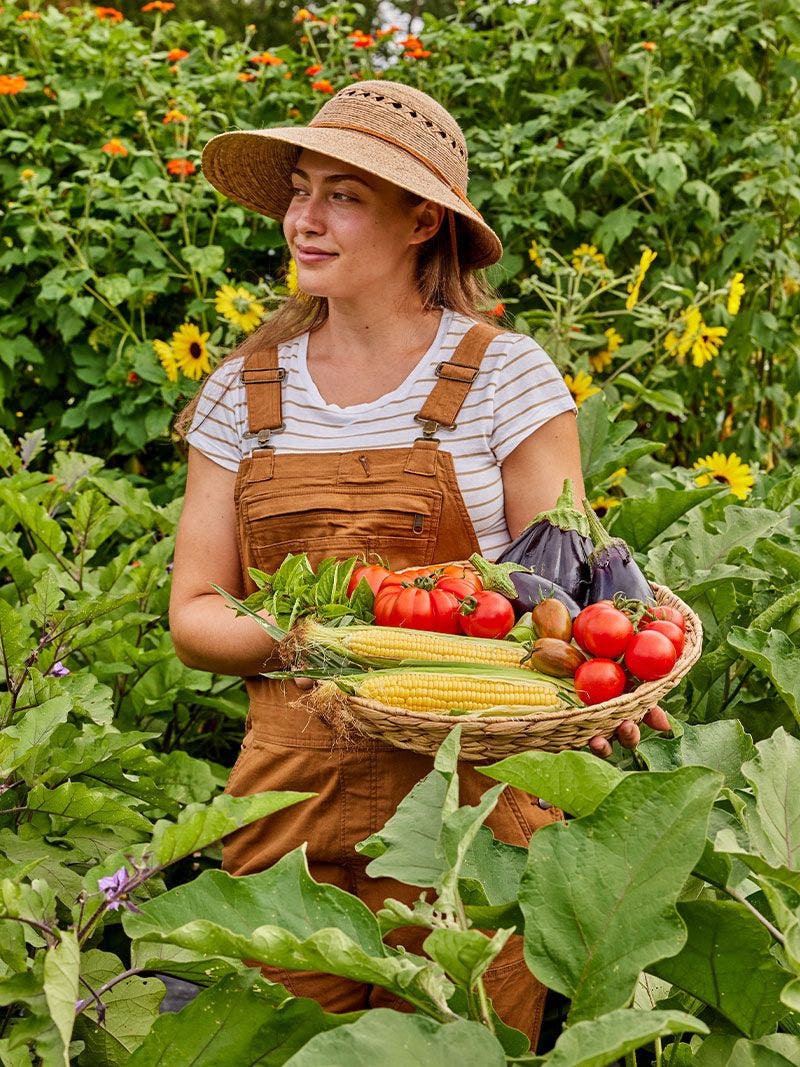 Organic Gardening 101