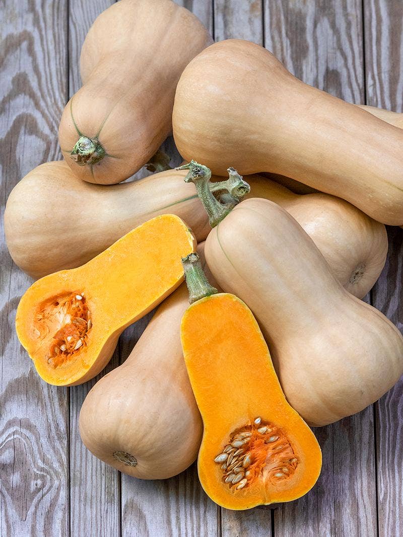 Butternut Squash