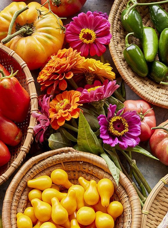 Should I Grow Heirloom Seeds?