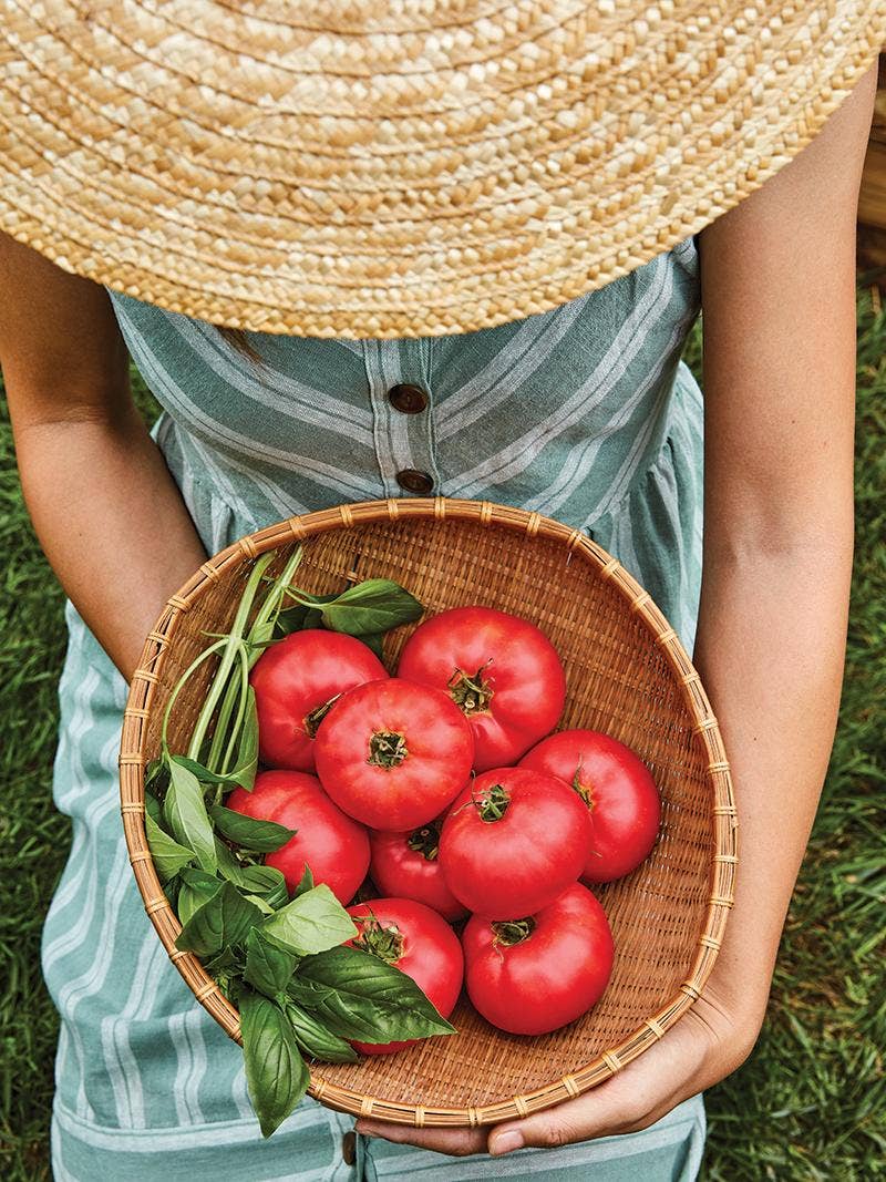 10 Tips for Growing Perfect Tomatoes