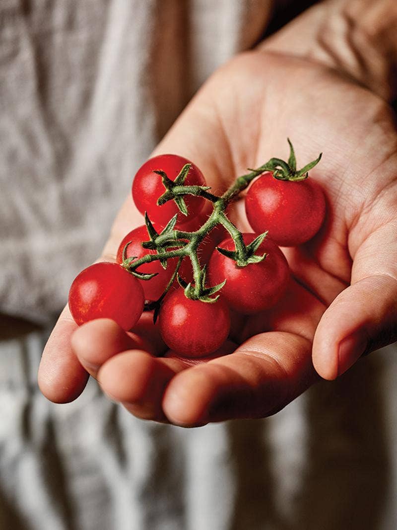 Miniature Vegetables: Tiny, Tasty, and Easy to Grow