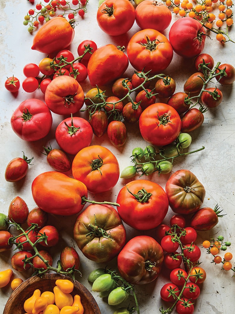 An assortment of tomatoes on a table.