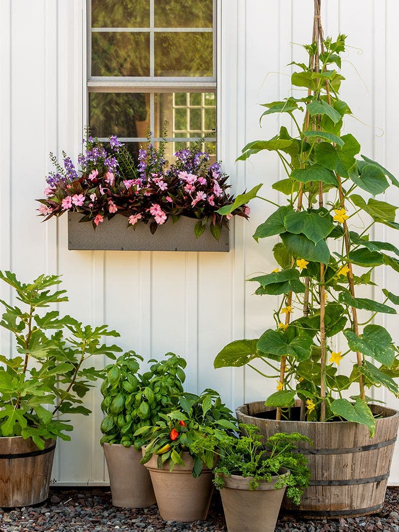 Preparing Small Space for Edible Garden