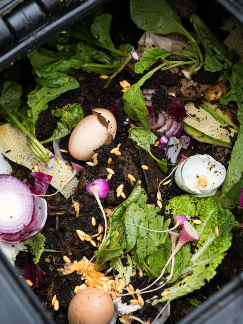 Compost in a bin.