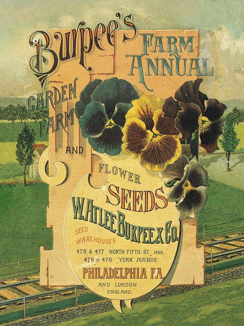 Vintage Burpee flower seed catalog