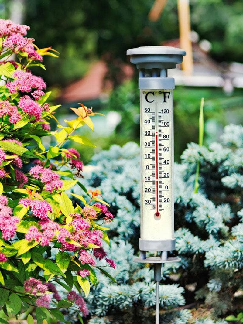 Why Garden Growing Zones Are Important and How to Find Yours
