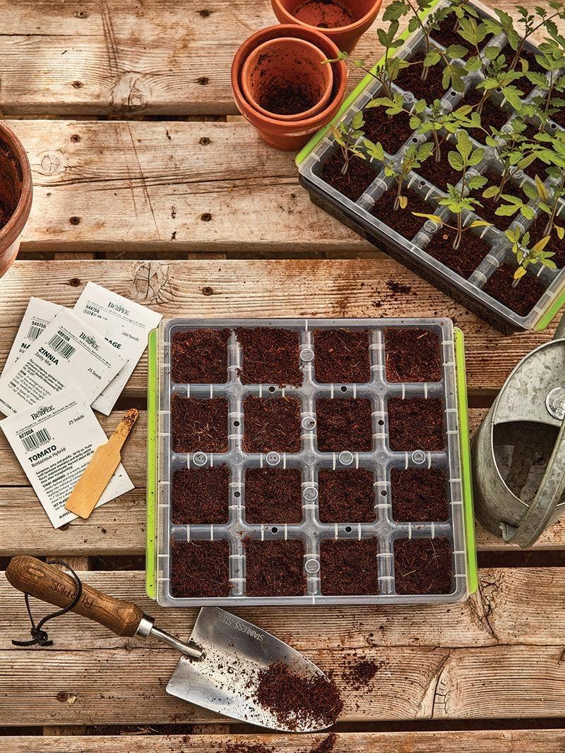 Seeds and seed starting supplies.