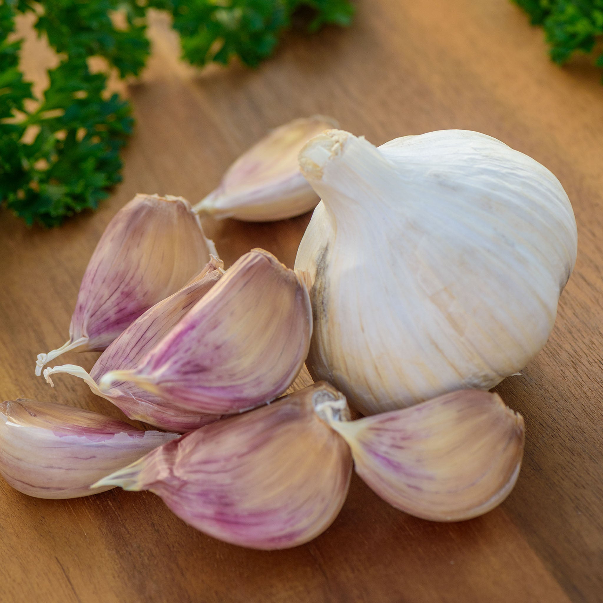 Premium Northern White Garlic Bulbs