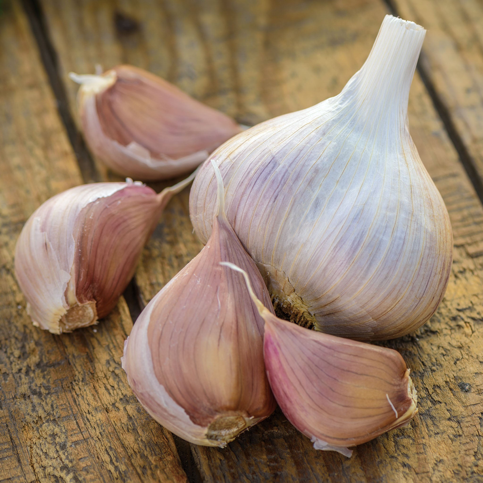Metechi Garlic Bulbs