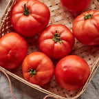 Early Girl Tomato