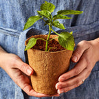 Biodegradable Plantable Round Fiber Pots