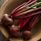 Burpee's Red Ball Beet