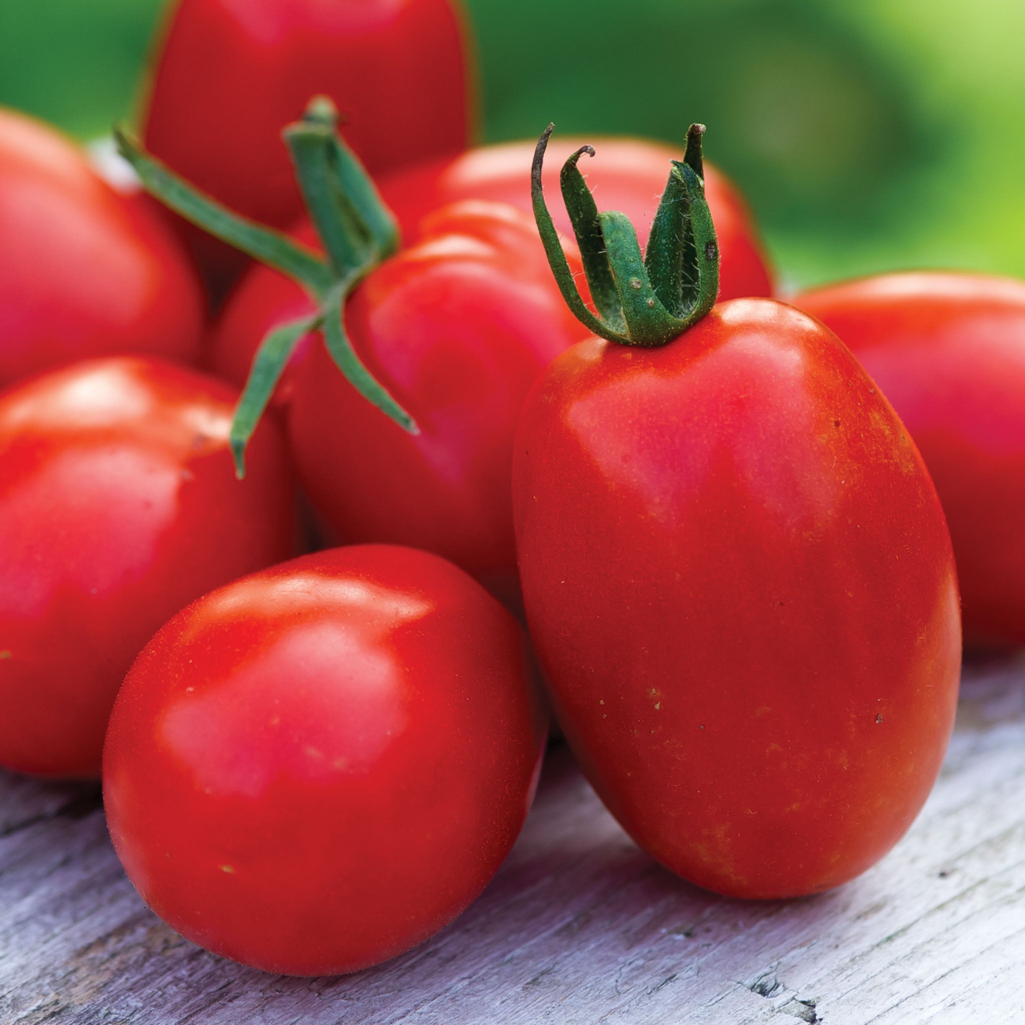 Mighty Sweet Tomato