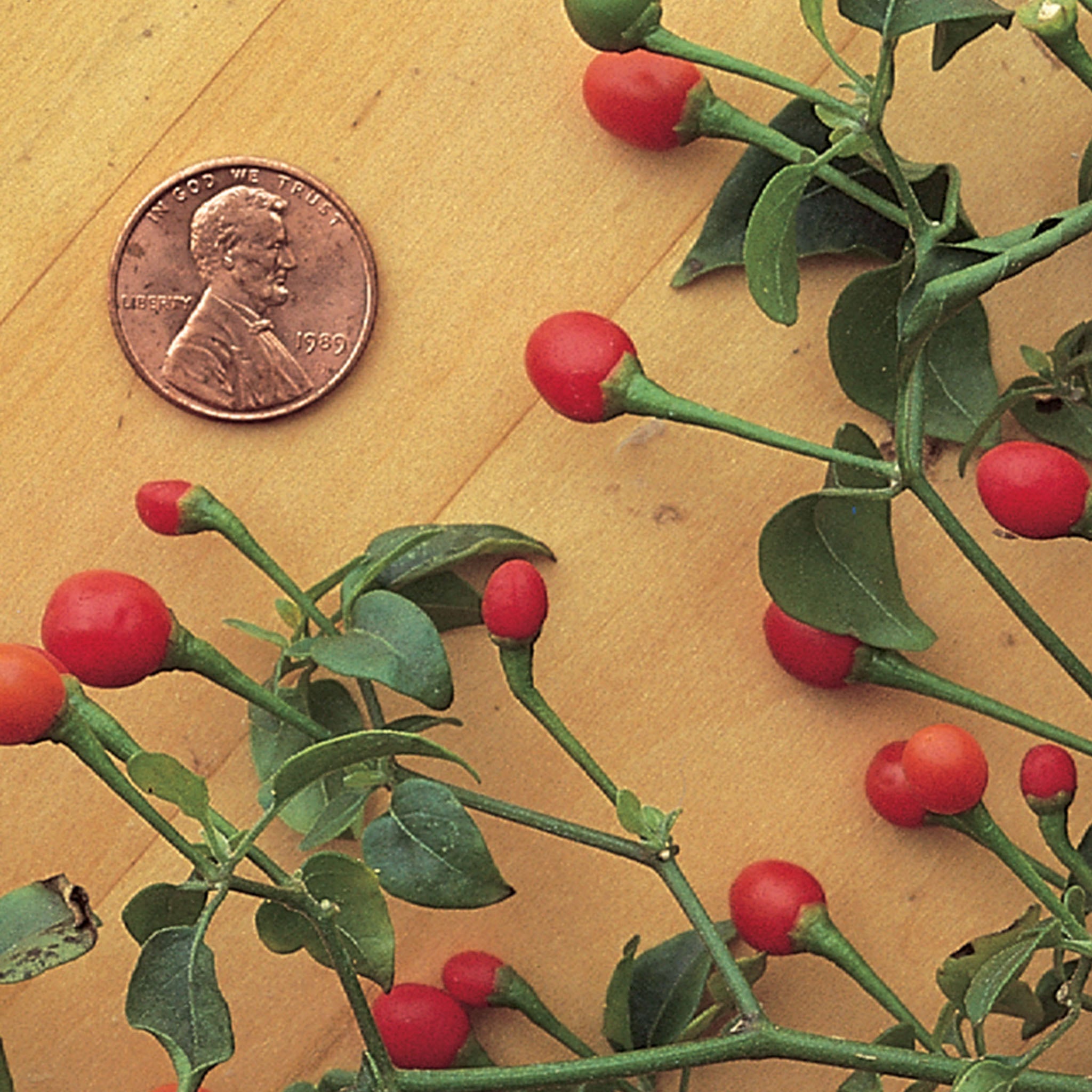 McMahons Bird Pepper Hot Pepper