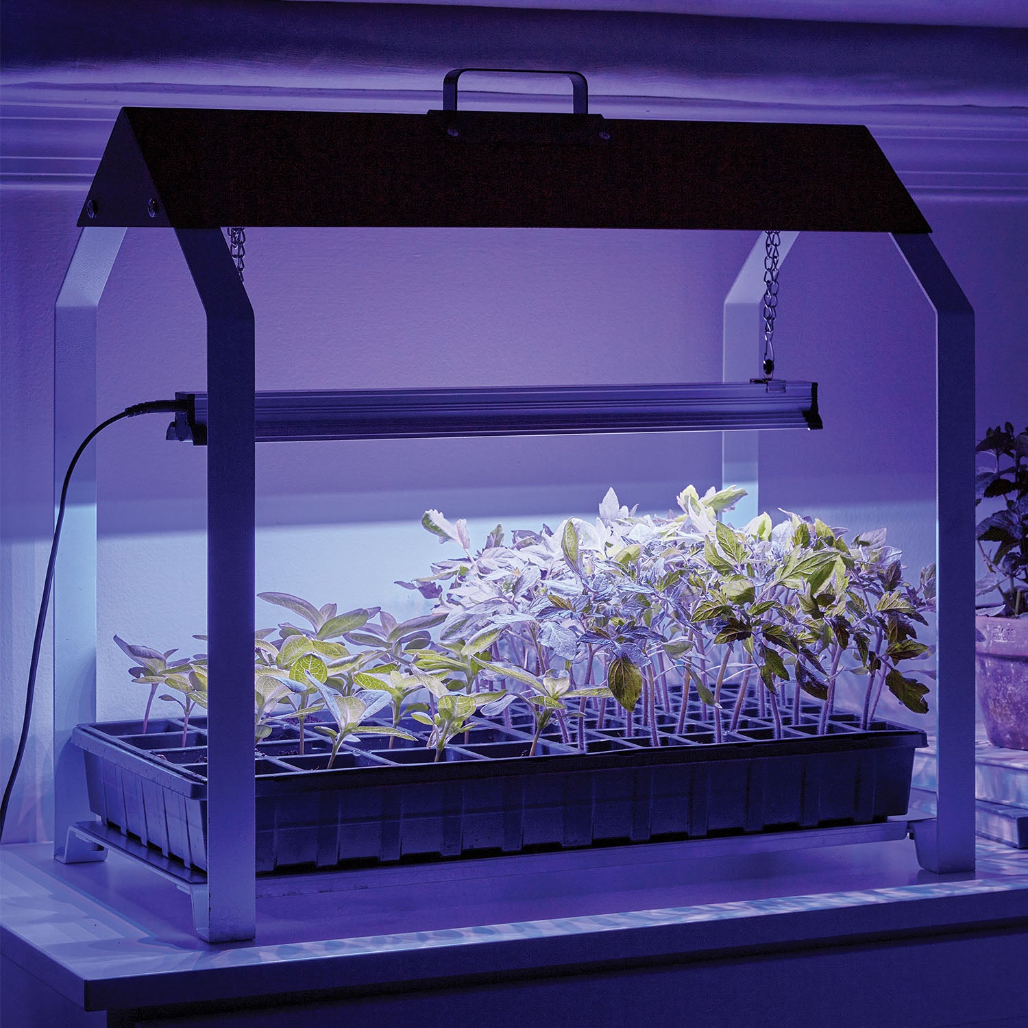 Fordhook LED Grow Light