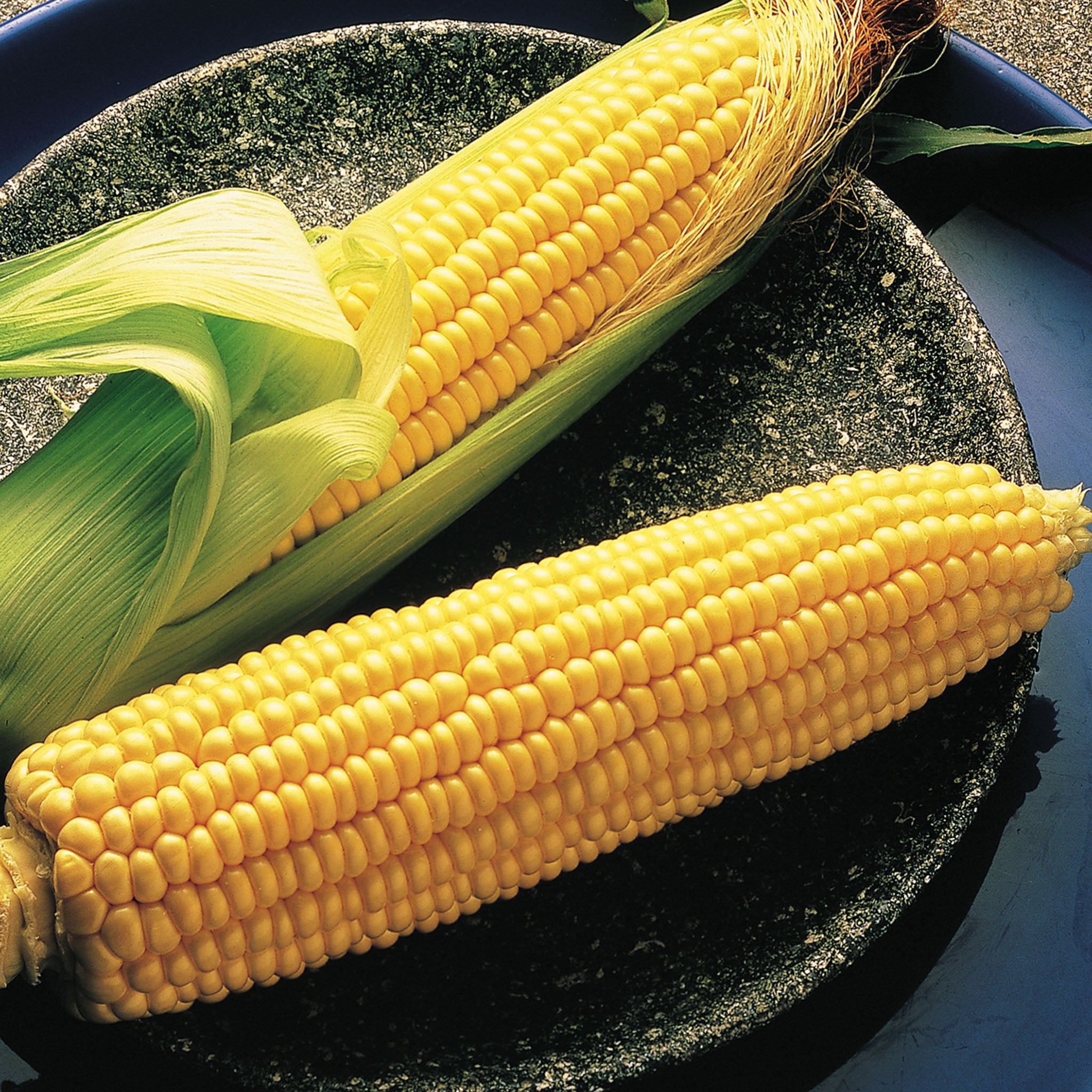 Illini Xtra Sweet Corn