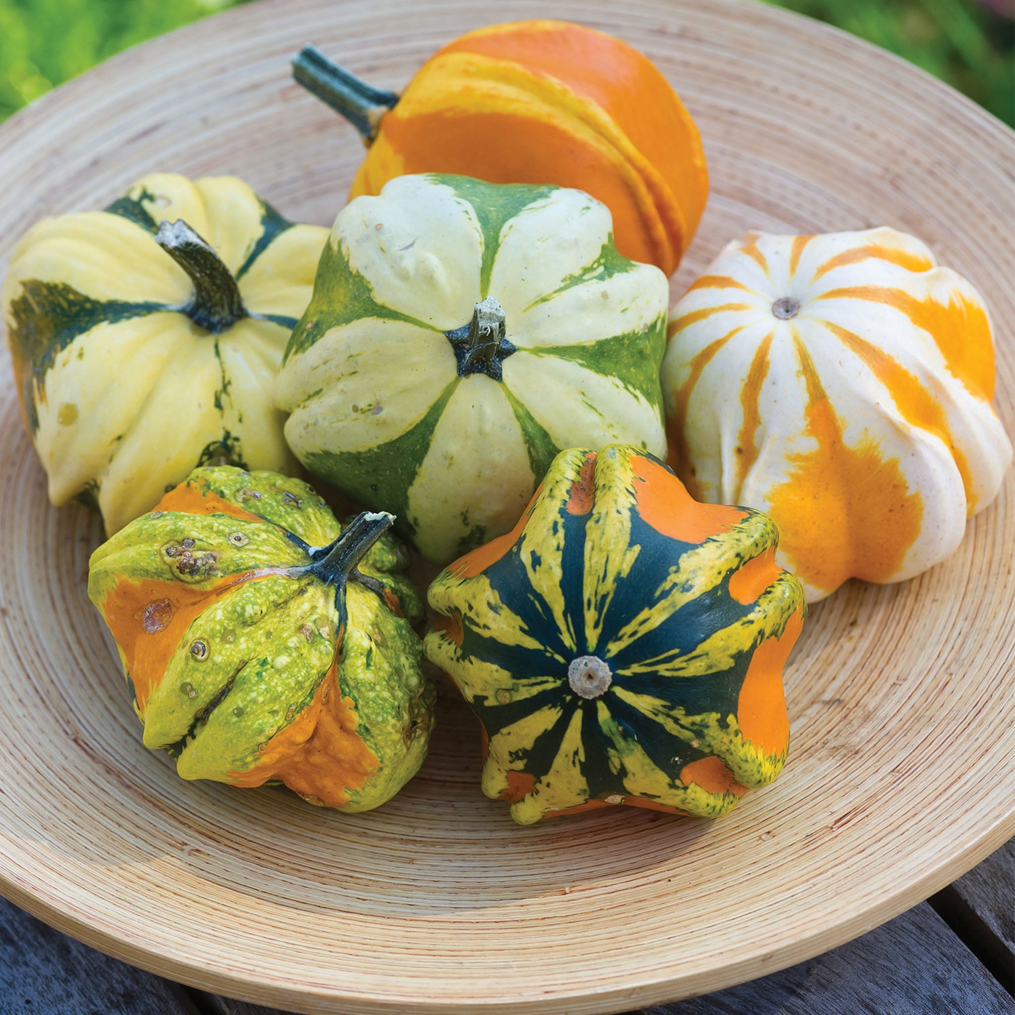 Daisy Gourd Gourd