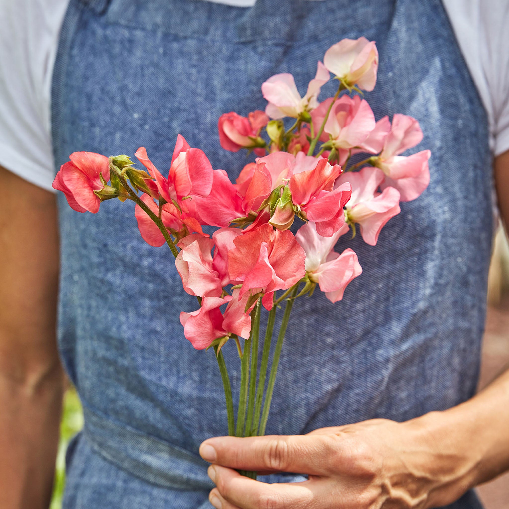 Incense Peach Shades Sweet Pea