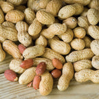 Jumbo Virginia Peanut