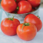 Cloudy Day Tomato