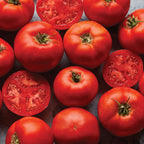 Rutgers Tomato