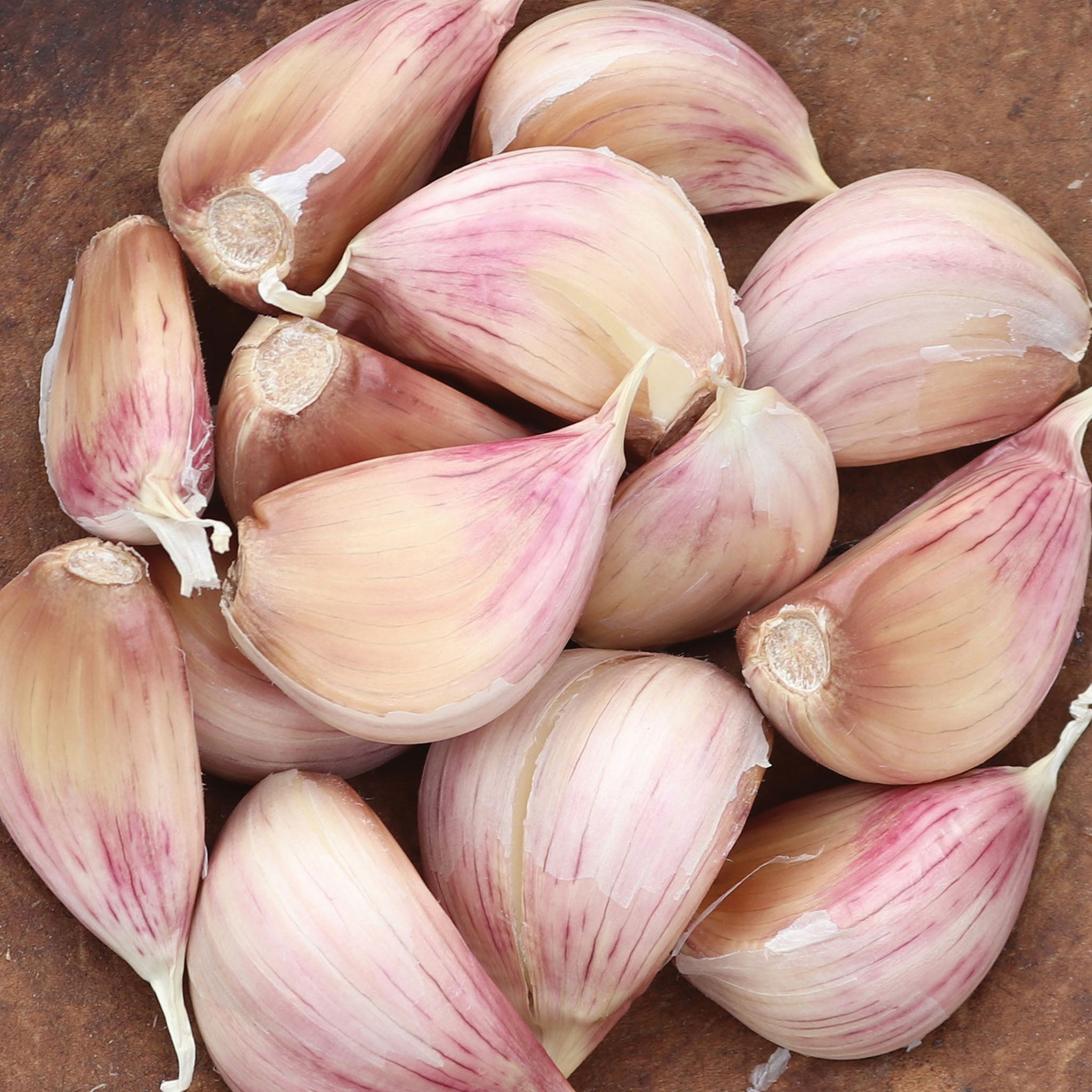 Premium Northern White Garlic Bulbs