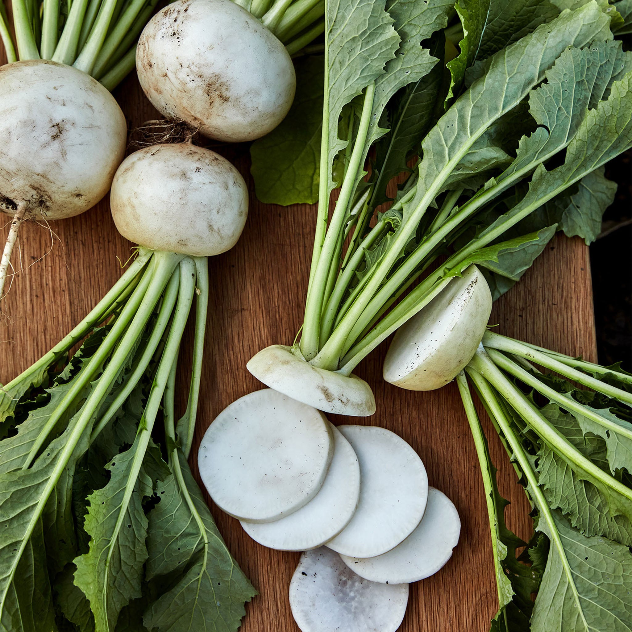 Silky Sweet Turnip