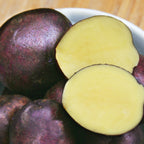 Harvest Moon Potato Tubers