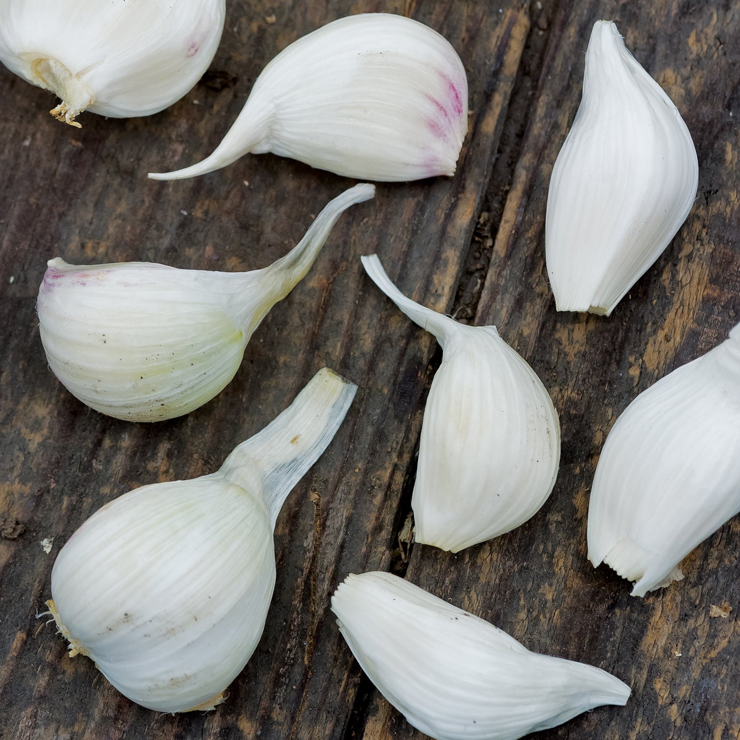 Extra Select Garlic Bulbs
