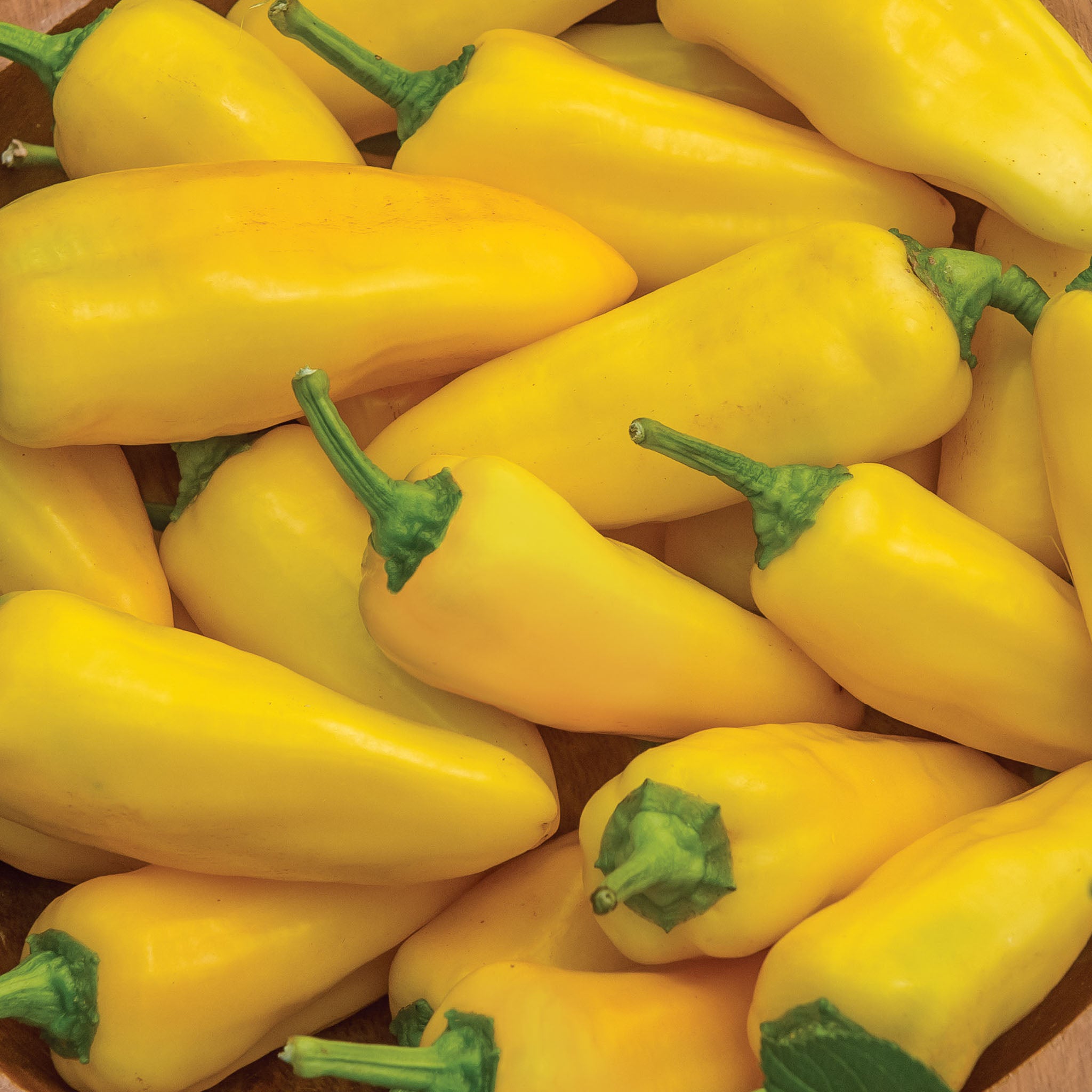 Lemon Dream Sweet Pepper