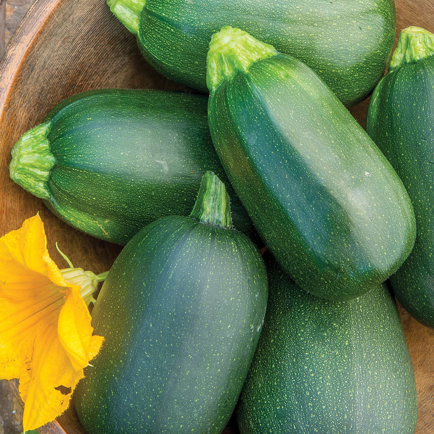 Green Eggs Summer Squash
