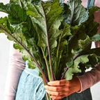 Dazzling Blue Kale